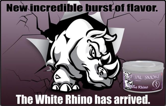 social smoke - white rhino
